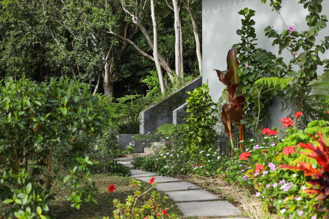 Green Cottage Chamarel Dış mekan fotoğraf