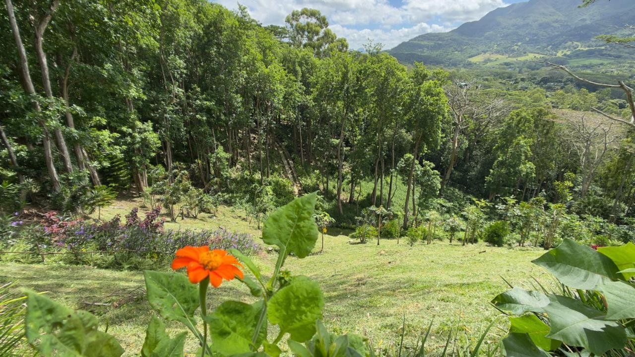 Green Cottage Chamarel Dış mekan fotoğraf